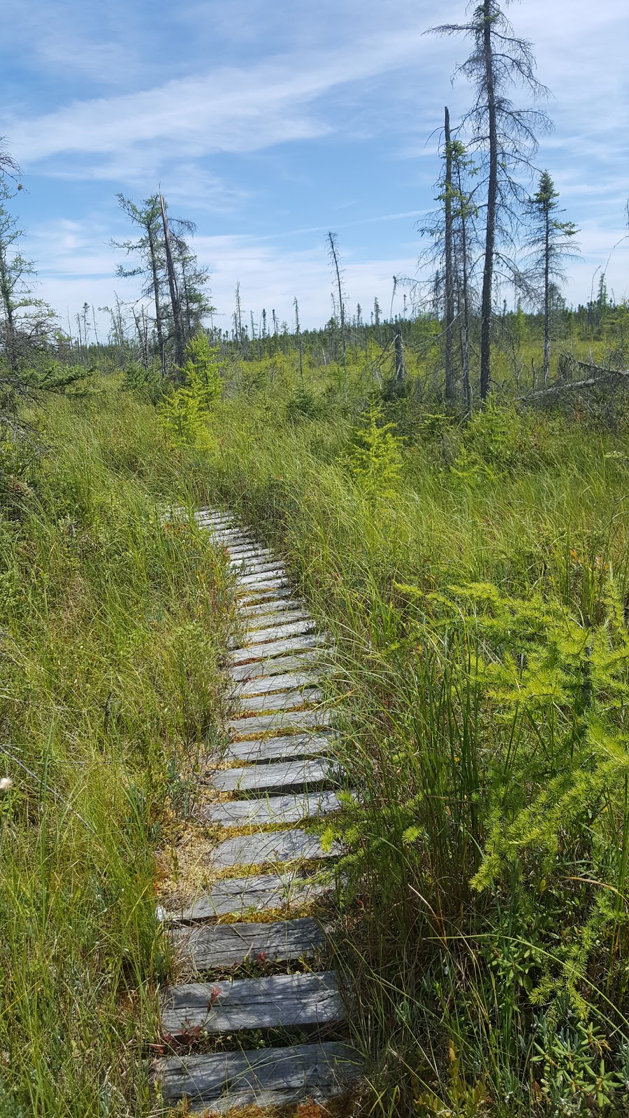 Parc régional des Grandes-Coulées | 2 Route du Plé, Plessisville, QC G0S 1T0, Canada | Phone: (819) 621-1333