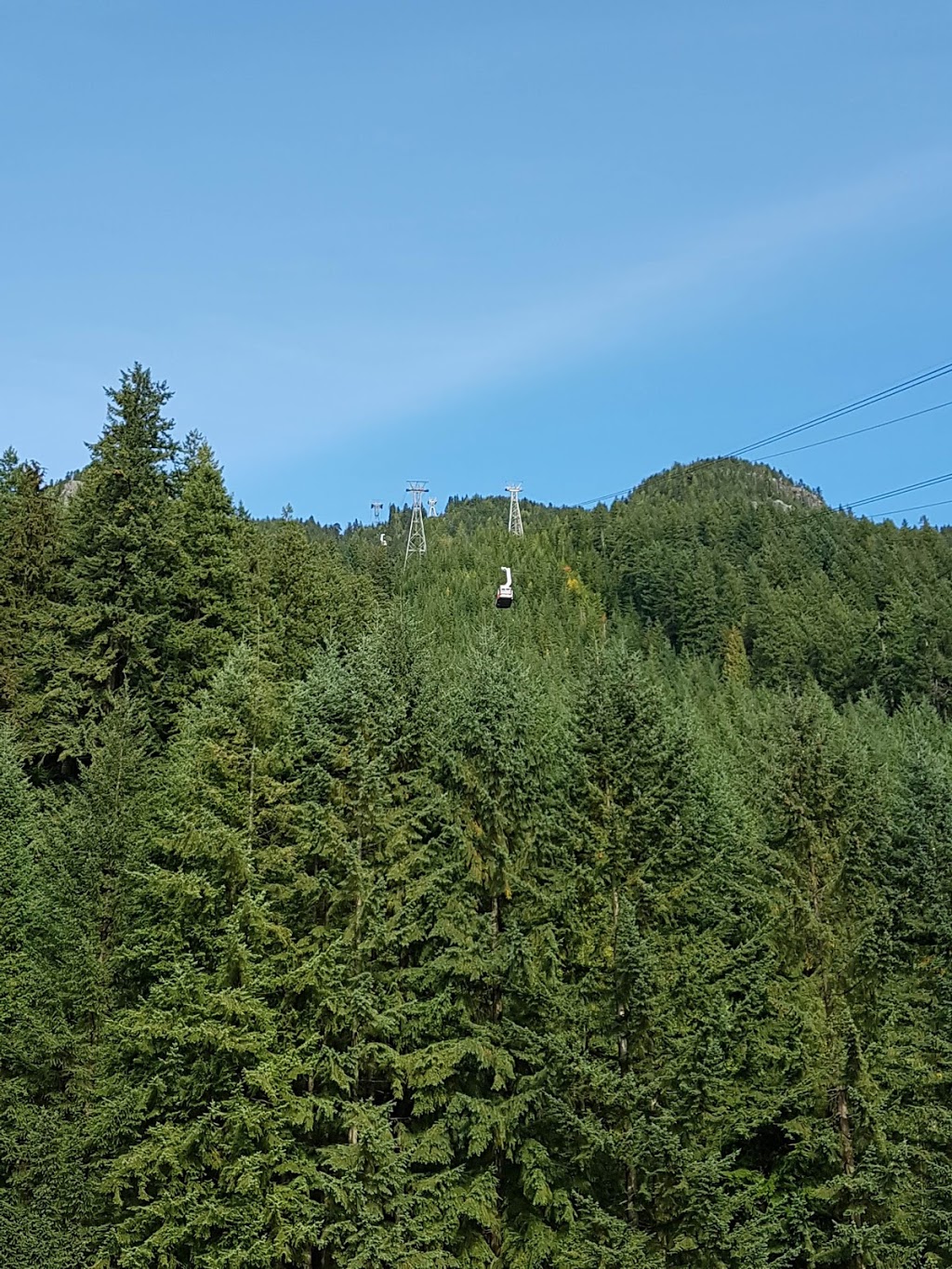 Grouse Mountain Regional Park | 6400 Nancy Greene Way, North Vancouver, BC V7R 4K9, Canada | Phone: (604) 224-5739