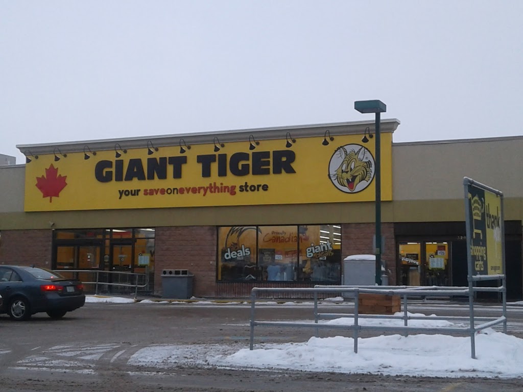 Giant Tiger | 320 Yonge St, Barrie, ON L4N 4C8, Canada | Phone: (705) 728-0261