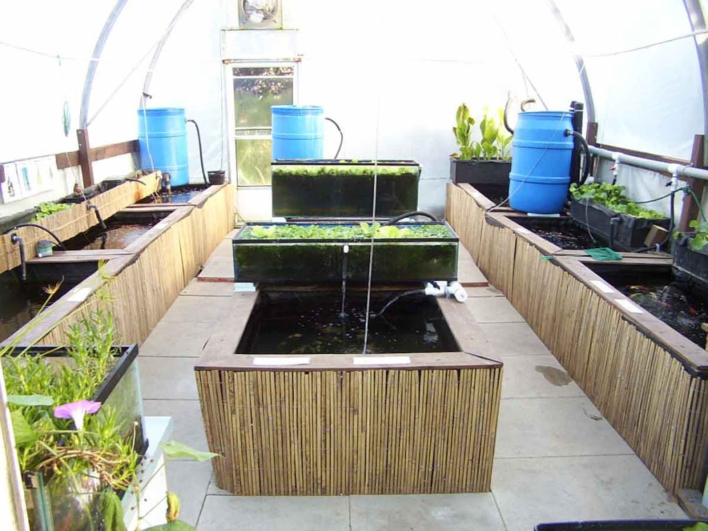 Hydrosphere - The Koi Pond Experts | 2474 9th Line, Bradford, ON L3Z 2A5, Canada | Phone: (905) 715-2447