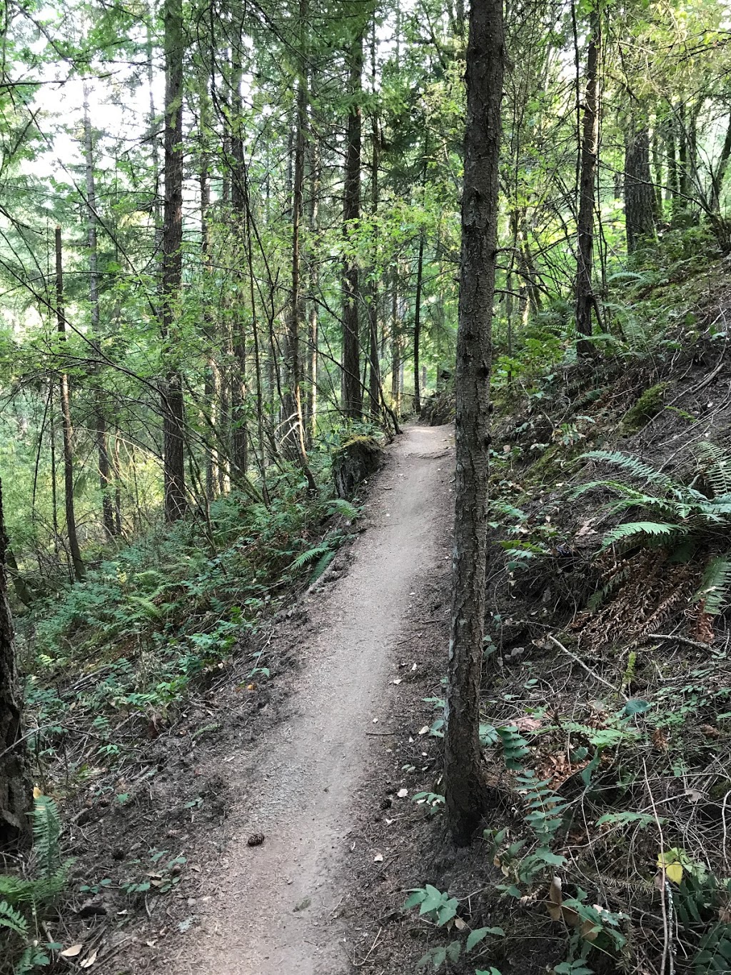 Mount Tzouhalem Nevilane Dr Trailhead | North Cowichan, BC V9L 5S6, Canada