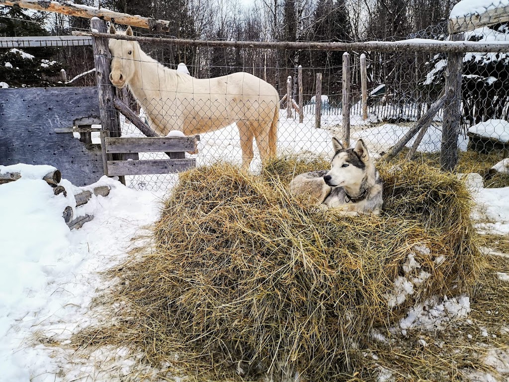 Galeox univers | 1150 chemin des Bêtes Puantes, Trois-Rives, QC G0X 2C0, Canada | Phone: (819) 801-8773