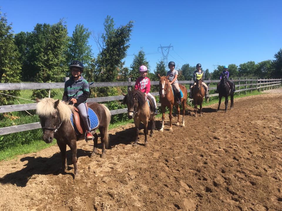 Equestrian Center Contrecoeur | 3744 Rang du Brûlé, Contrecoeur, QC J0L 1C0, Canada | Phone: (450) 881-5678