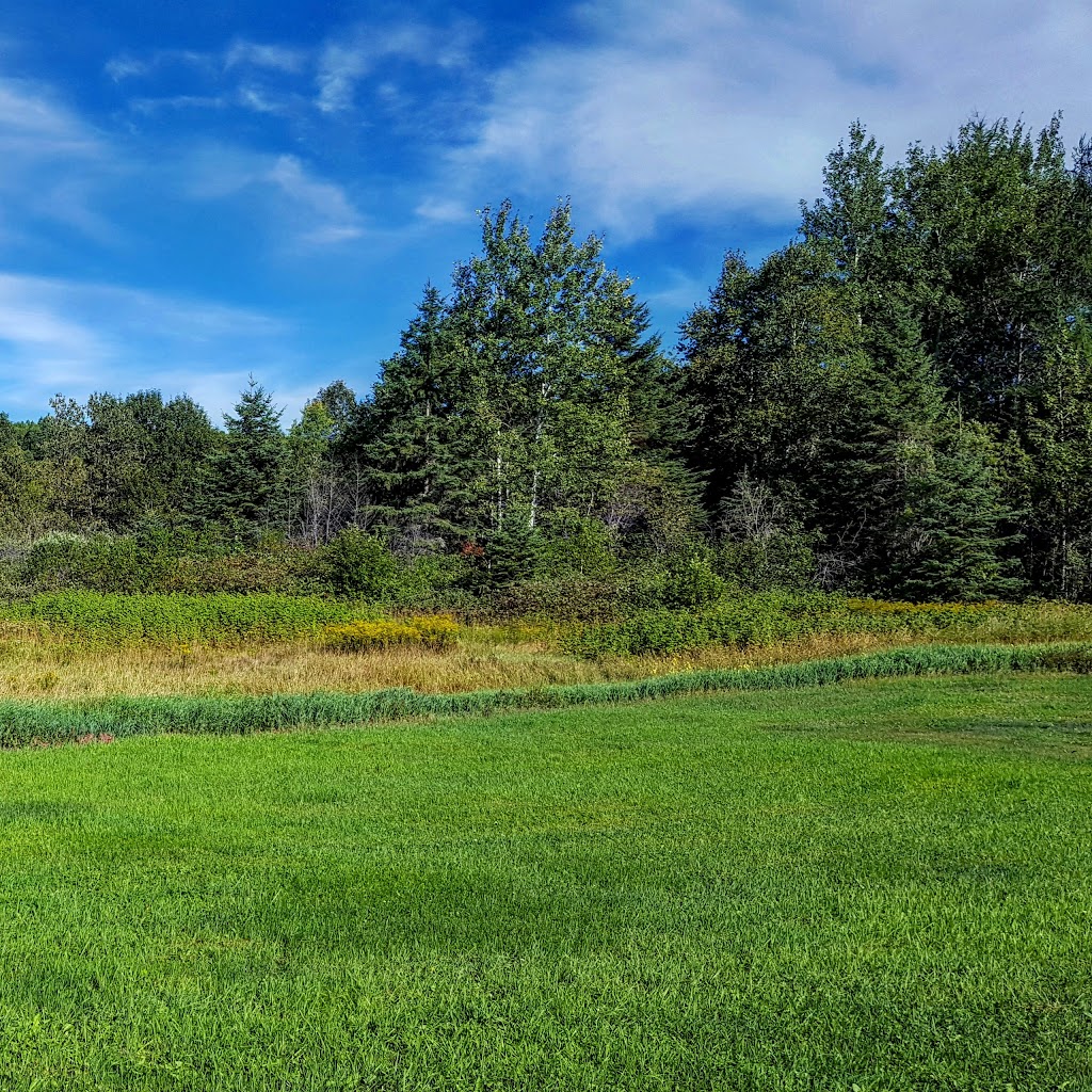 Municipalité de Rivière-Bleue | 32 Rue des Pins E, Rivière-Bleue, QC G0L 2B0, Canada | Phone: (418) 893-5559