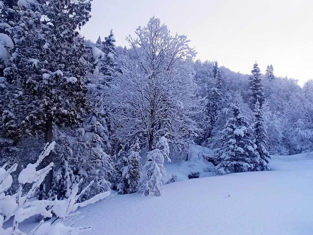 Exode en nature | 1516 Rte de Tadoussac, Sainte-Rose-du-Nord, QC G0V 1T0, Canada | Phone: (418) 540-1455