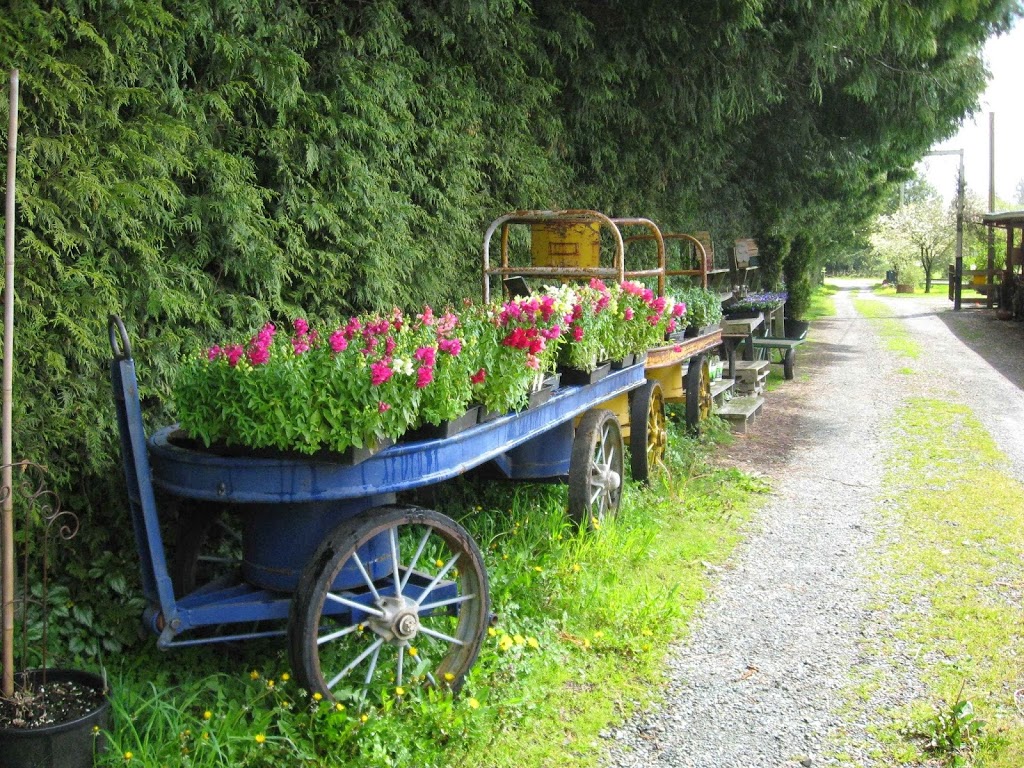 Cedarlane Farm | 2367 250 St, Aldergrove, BC V4W 2C7, Canada | Phone: (604) 856-1578