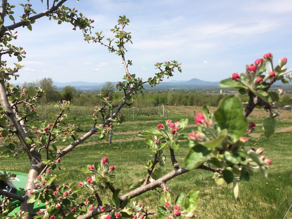 Verger Stevens Orchard | 2055 Chem. Dewey, Stanstead, QC J0B 3E1, Canada | Phone: (819) 876-7300