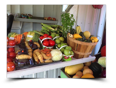 le Versant Fruitier | 100 Rte Sainte-Caroline, Sainte-Claire, QC G0R 2V0, Canada | Phone: (418) 883-3150