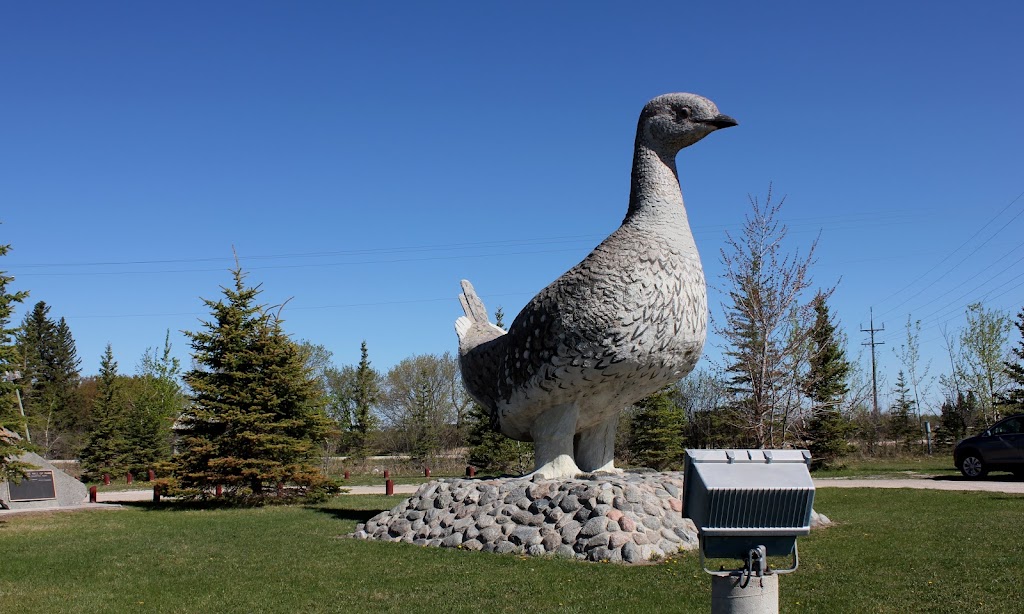 Ashern Sharptail Park | Ashern, MB R0C 0C5, Canada | Phone: (204) 927-7814