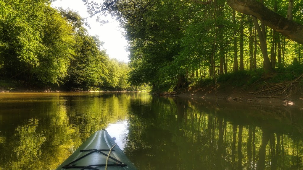 Sydenham River Nature Reserve | 2740 Buttonwood Dr, Glencoe, ON N0L 1M0, Canada | Phone: (800) 440-2366