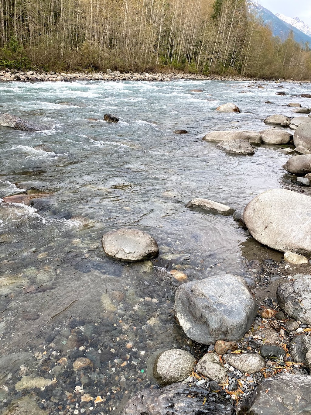 Chilliwack River Hatchery | 55205 Chilliwack Lake Rd, Chilliwack, BC V4Z 1A7, Canada | Phone: (604) 858-7227