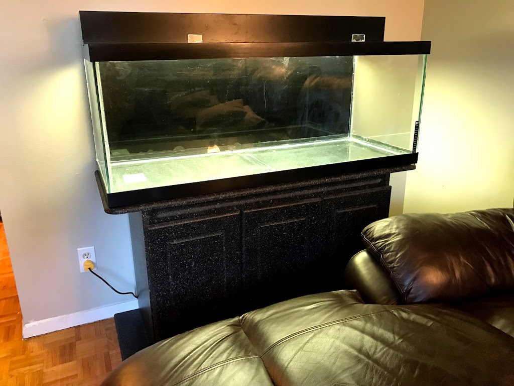Miracles Aquariums | 26 French Dr, Mono, ON L9W 5W1, Canada | Phone: (519) 941-8265