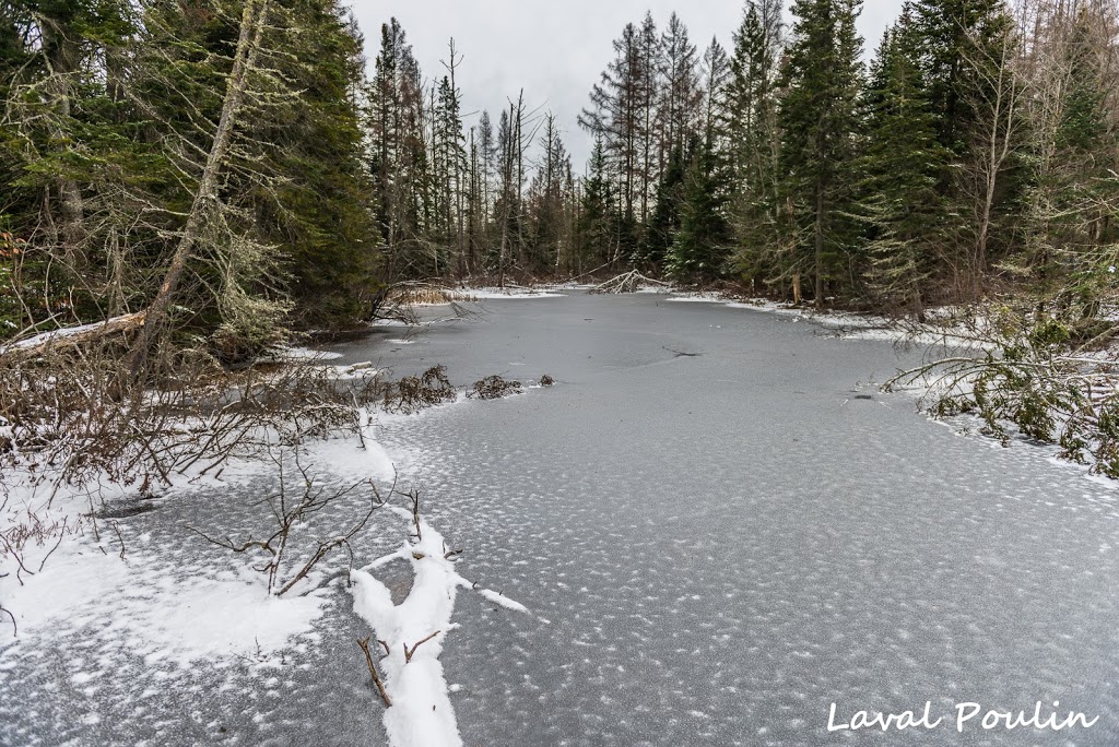 Marais du Nord (Les) | 1100 Chemin de la Grande Ligne, Stoneham-et-Tewkesbury, QC G3C 0Y1, Canada | Phone: (418) 841-4629