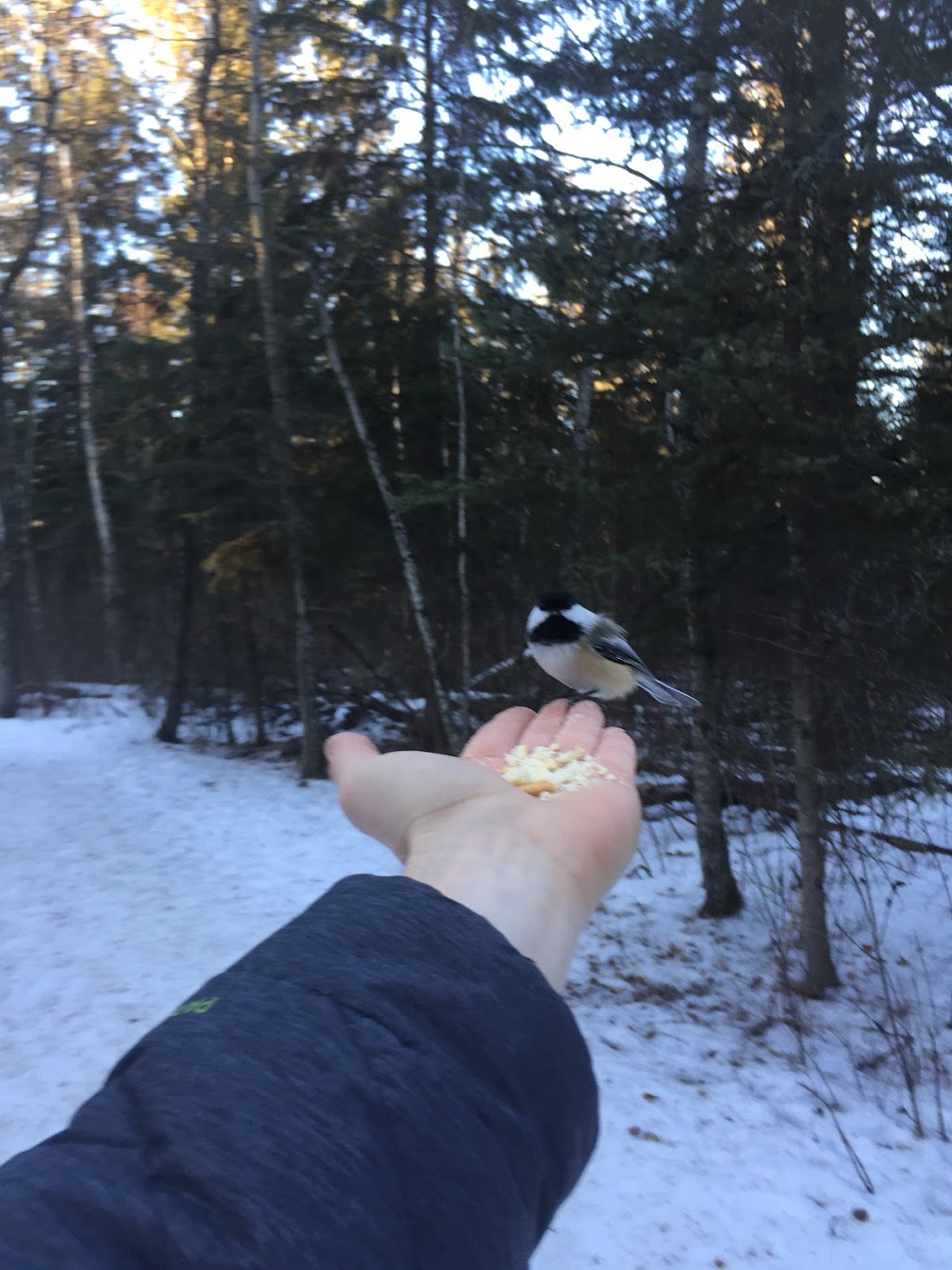 Whitemud Park Parking Lot | Whitemud Creek Ravine South, Edmonton, AB T6J, Canada