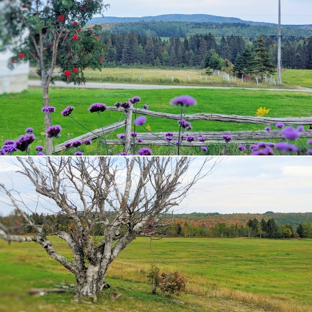 ST FÉRRÉOL LES NEIGES | 110 Rue de la Tourbe, Saint-Ferréol-les-Neiges, QC G0A 3R0, Canada | Phone: (418) 826-2253