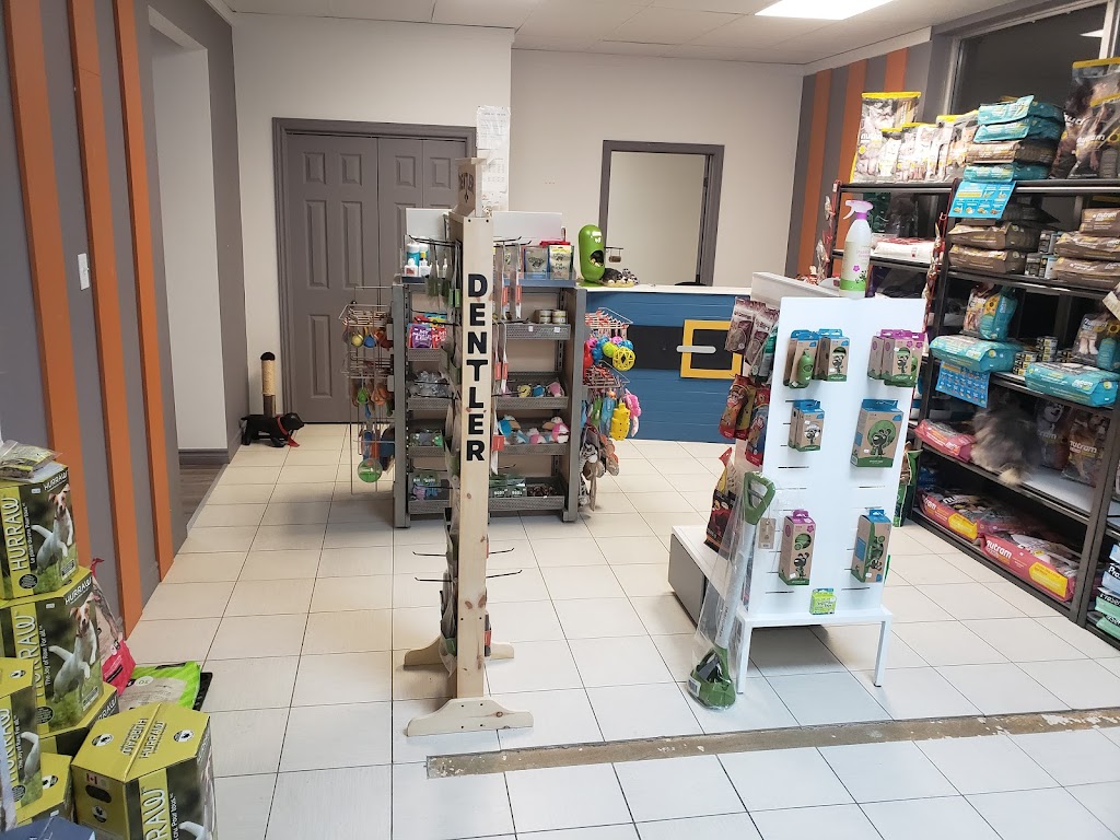 Centre canin Plutôt Mignon | 1011 QC-161, Chesterville, QC G0P 1J0, Canada | Phone: (819) 504-0588