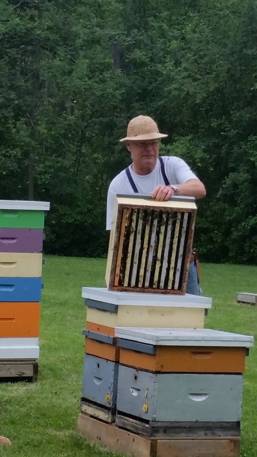 University Of Guelph Beekeeping Lab | 308 Stone Rd E, Guelph, ON N1G 2W1, Canada | Phone: (519) 836-8897