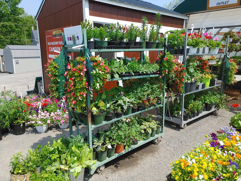 Sheilas Greenhouse | 945 Moscow Rd, Yarker, ON K0K 3N0, Canada | Phone: (613) 217-8067