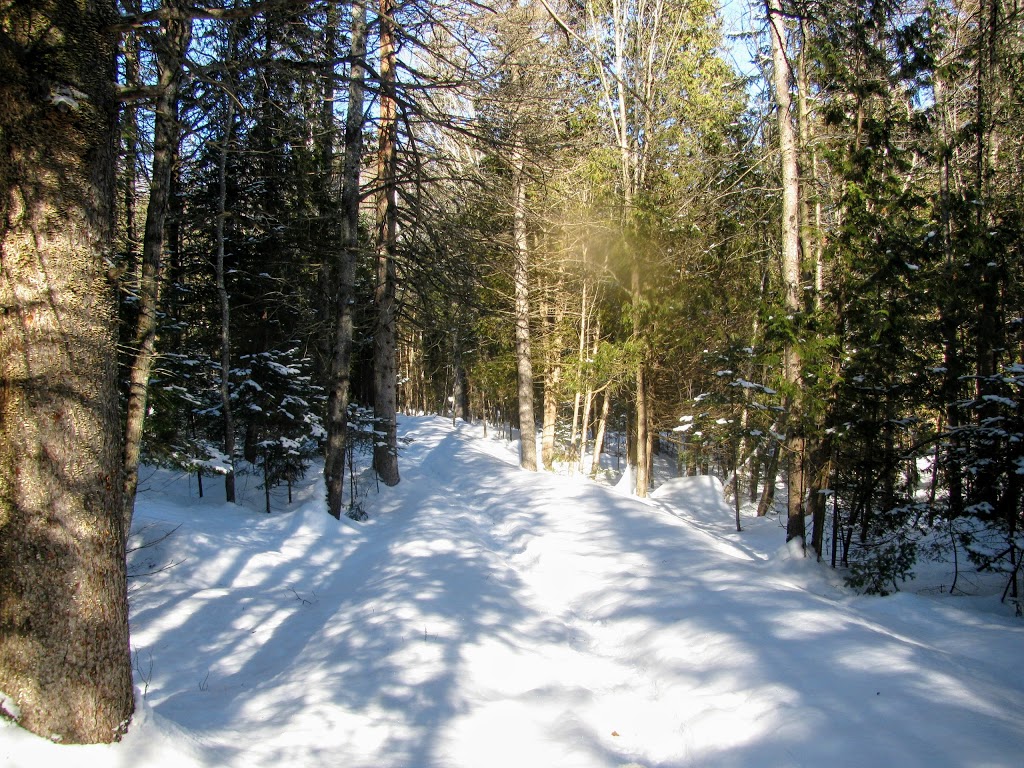 Sentiers de lAmitié | Avenue de lAmitié, Chertsey, QC J0K 3K0, Canada