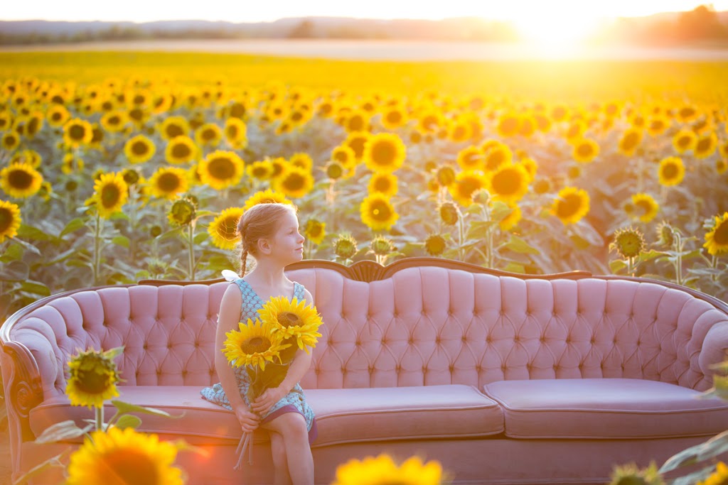 Toronto Sunflower Fields and Festival | 15770 Mountainview Rd, Caledon, ON L7C 2V2, Canada | Phone: (905) 965-8201