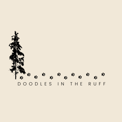 Doodles in the Ruff | 2280 Pyrite Dr, Sooke, BC V9Z 0M6, Canada | Phone: (403) 318-9185