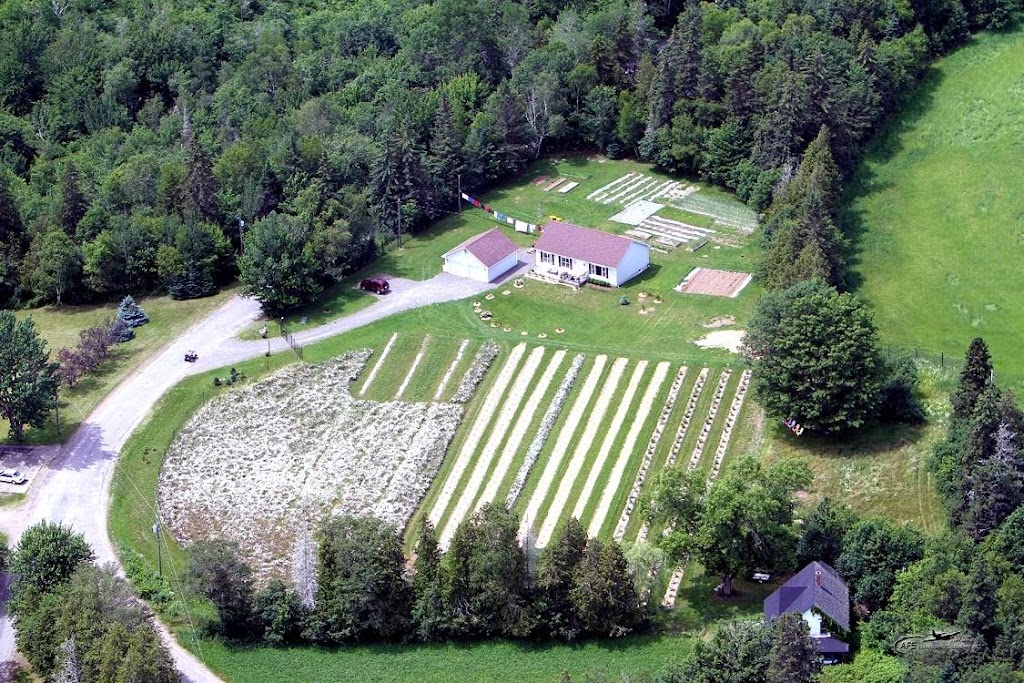 Oak Lane Farm | 15 Oak Point Beach Rd, Oak Point, NB E5M 2H7, Canada | Phone: (506) 468-9992