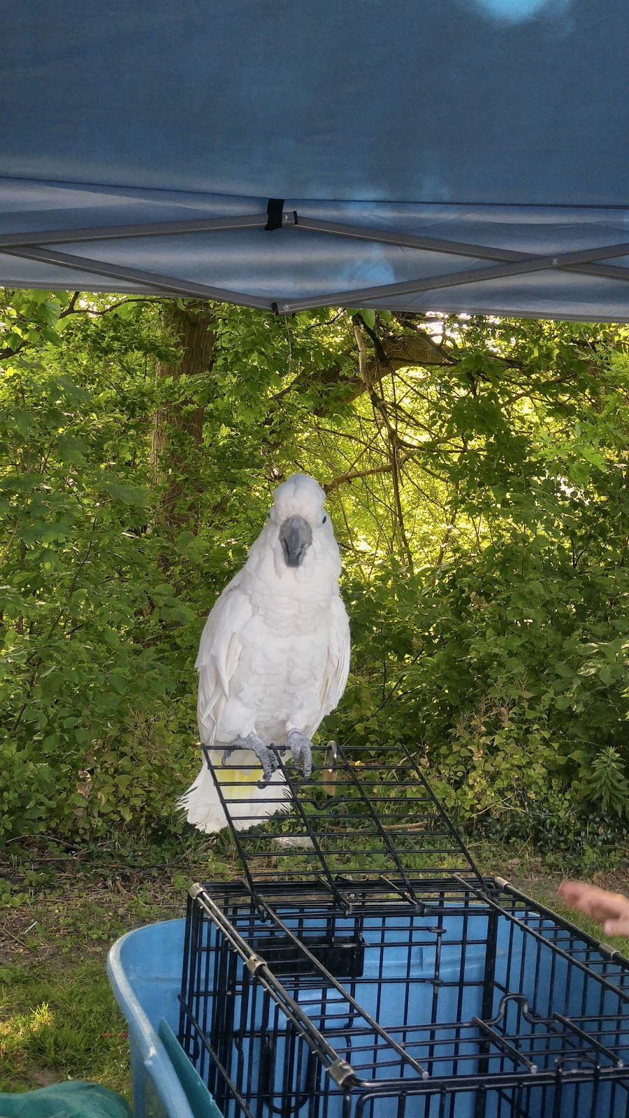 Stonegate Farmers Market | Parking, Lot 194 Park Lawn Rd, Etobicoke, ON M8Y 3J1, Canada | Phone: (416) 231-7070