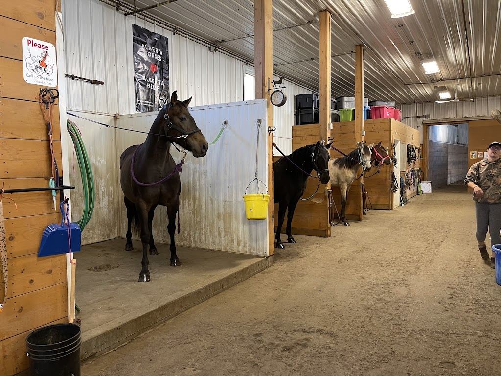 Amethyst Equine Connections | 51341 Range Rd 210, Sherwood Park, AB T8G 1G1, Canada | Phone: (780) 686-3423