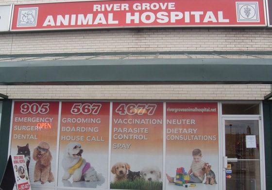 River Grove Animal Hospital | 1201 Britannia Rd W #15, Mississauga, ON L5V 1N2, Canada | Phone: (905) 567-4677