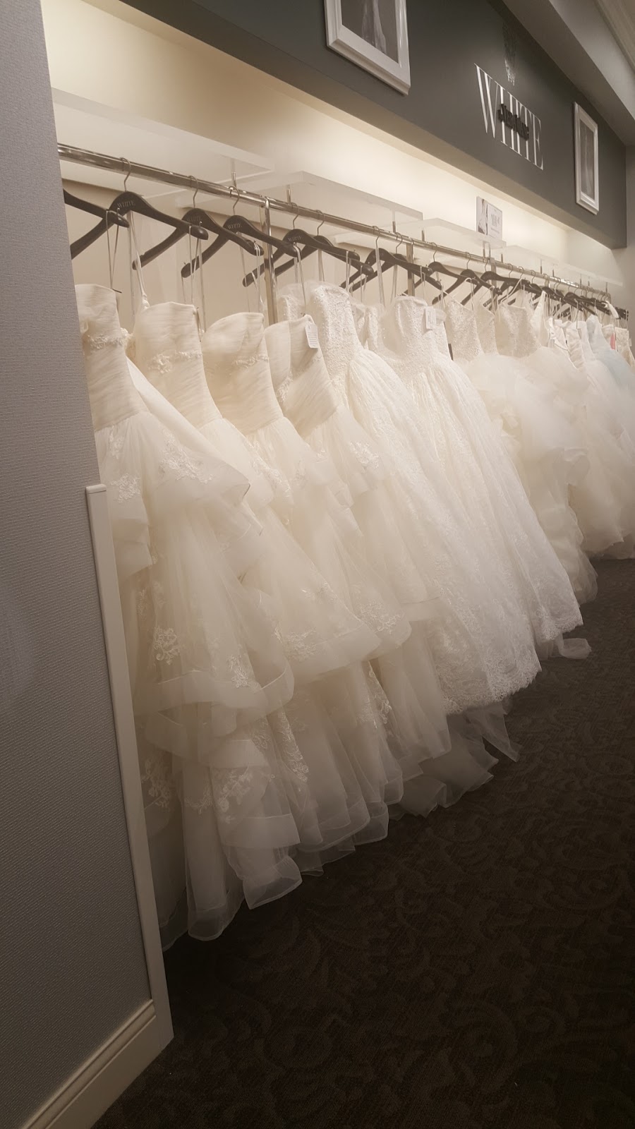 Davids Bridal | 319, 7337 Macleod Trail #319, Calgary, AB T2H 0L8, Canada | Phone: (403) 386-3250