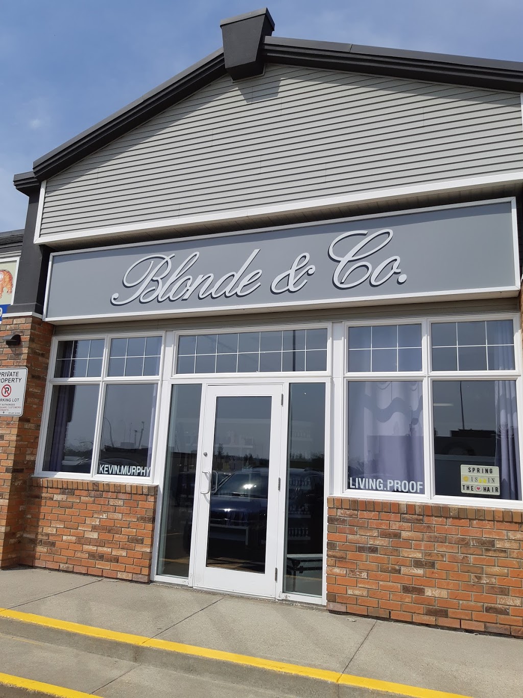 Blonde & Co. Hair Salon | 506A St Albert Trail #206, St. Albert, AB T8N 5Z1, Canada | Phone: (780) 569-3580