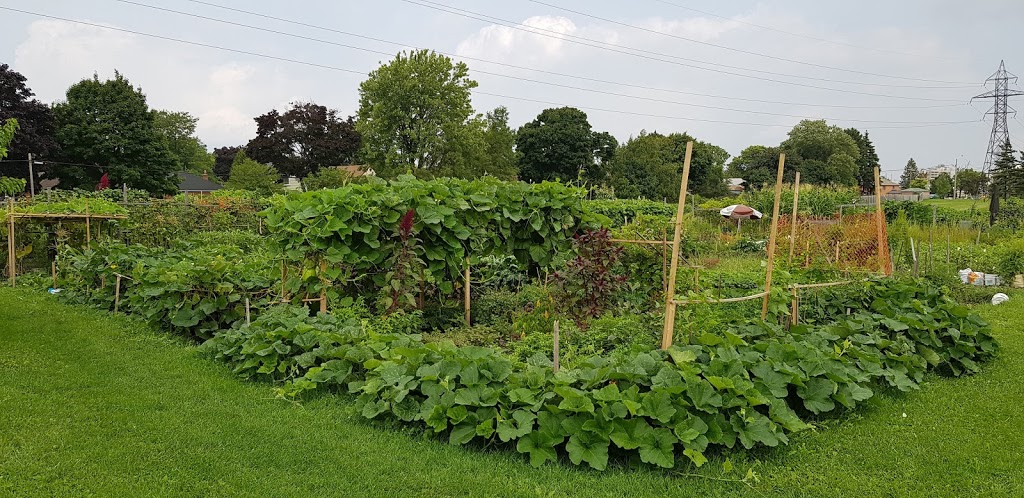 Givendale Allotment Gardens | 1 Givendale Rd, Toronto, ON M1P, Canada | Phone: (416) 392-8188