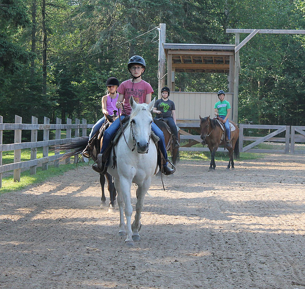 Snider Mountain Ranch | 461 Snider Mountain Rd, Snider Mountain, NB E5P 4B4, Canada | Phone: (506) 432-6362