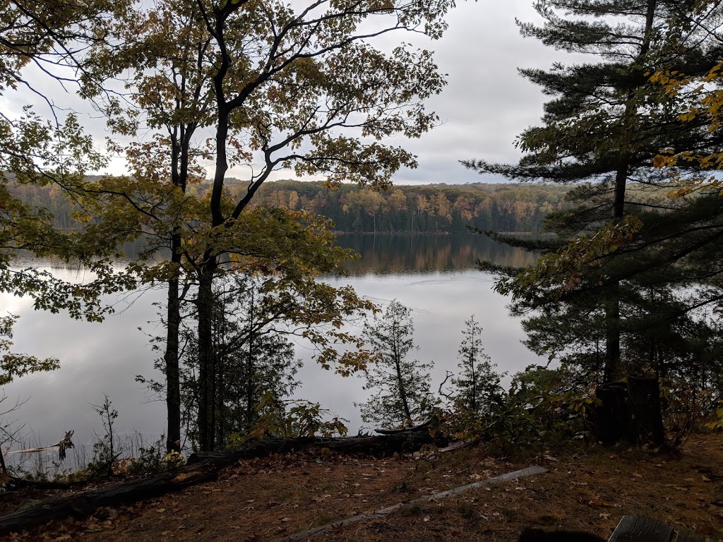 Wendat Hiking Trail | Unnamed Road, Tiny, ON L0K, Canada