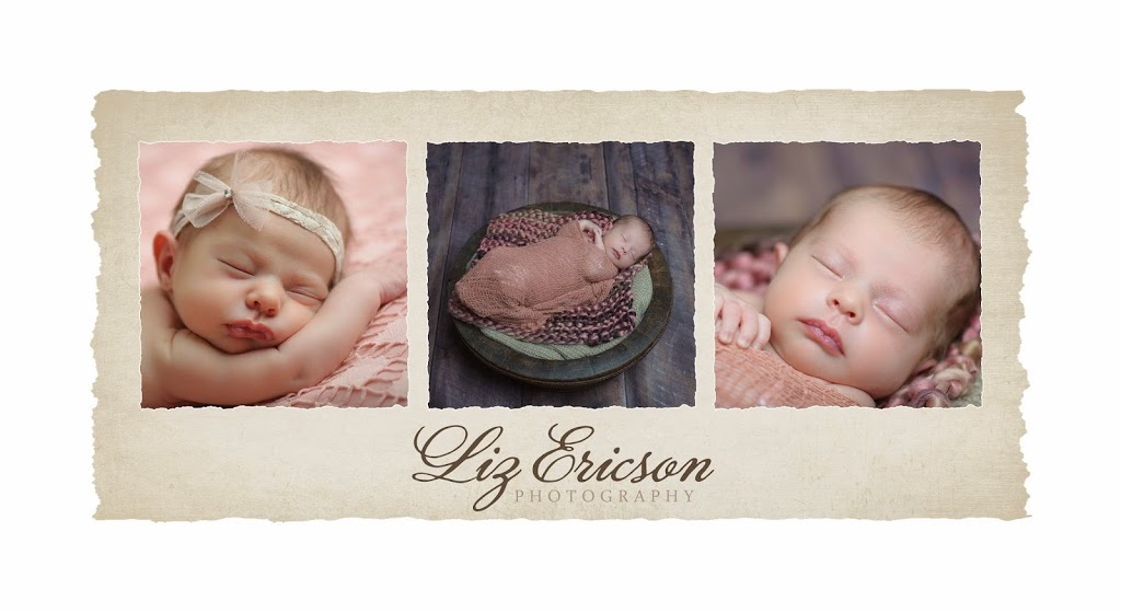 Liz Ericson Photography | 30 Viscount Rd, Chatham, ON N7L 4X7, Canada | Phone: (519) 350-0050