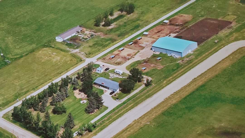 TwoFox Acres Breeding and Boarding Facility | 54081 Range Rd 221, Cardston County, AB T0K 1J0, Canada | Phone: (403) 308-2719