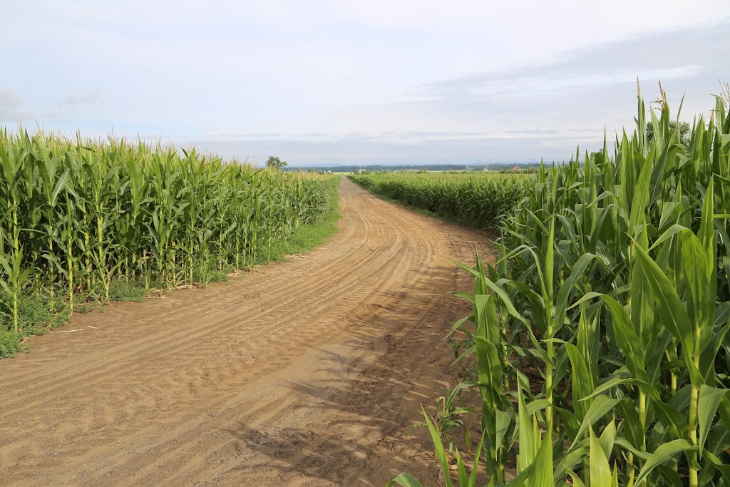 Ferme GeoBastien | 216 Chem. de la Plaine, Sainte-Anne-des-Plaines, QC J0N 1H0, Canada | Phone: (450) 838-8424