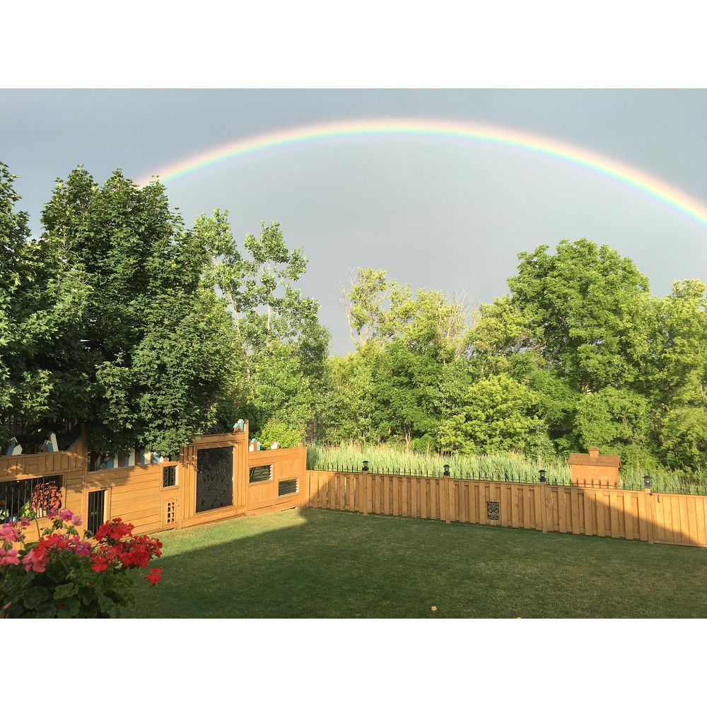 Little Free Library #5539 | 27 Schooner Ct, Chatham, ON N7L 0A1, Canada | Phone: (519) 365-2497