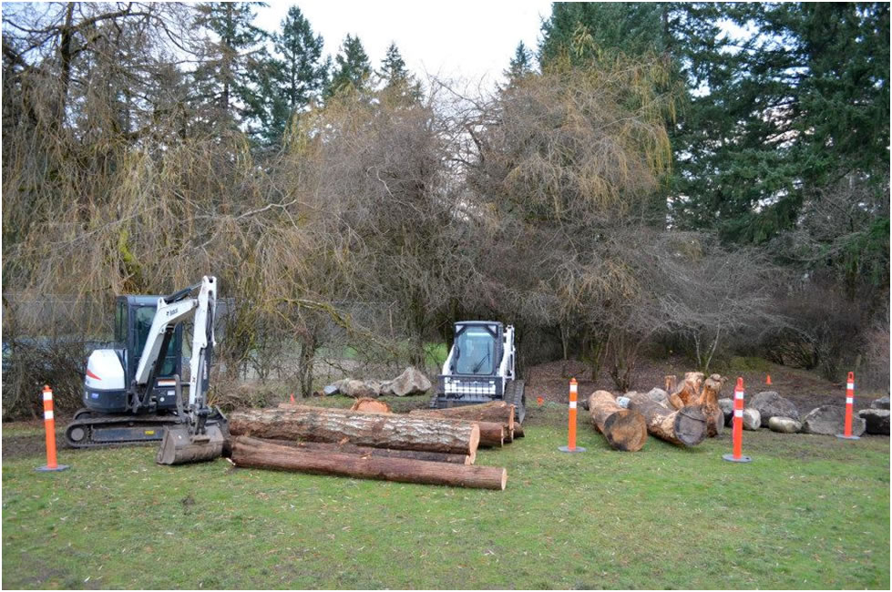 Garden City Tree & Landscape | 4370 Interurban Rd, Victoria, BC V9E 2C4, Canada | Phone: (250) 385-4858