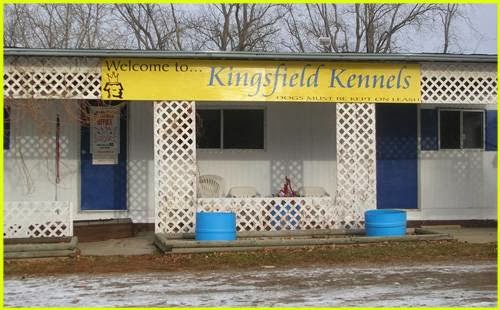 Kingsfield Kennels | 48472 Range Rd 252, Alberta T9E 2X1, Canada | Phone: (780) 986-3795