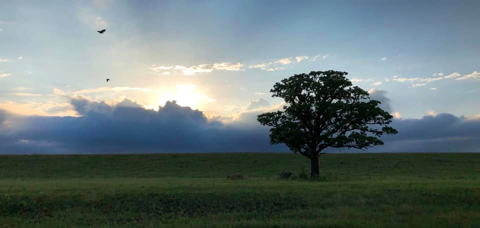 Shaun Thompson Photography | Road, Pinawa, MB R0E 1L0, Canada | Phone: (204) 340-6720