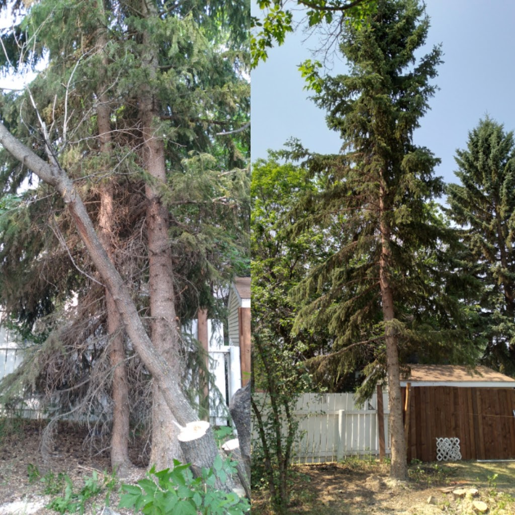 Mountain Country Tree Care | 67 Knight Pl, Crossfield, AB T0M 0S0, Canada | Phone: (403) 836-5765