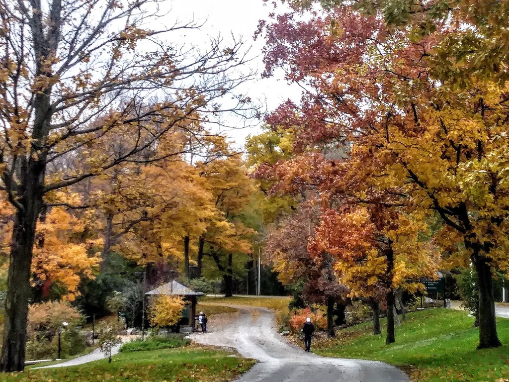 Three Sisters Islands | Three Sisters Island Footbridge, Niagara Falls, NY 14303, USA | Phone: (716) 278-1796