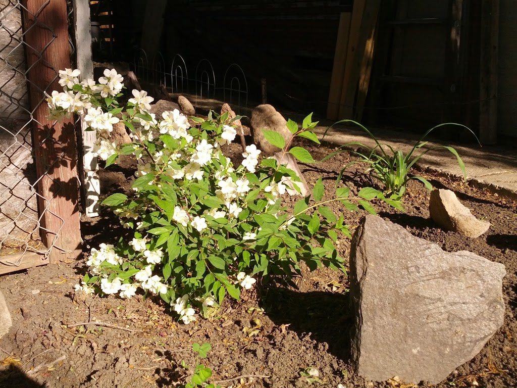 Unique Garden Centre & Landscaping | 132 N Broad St, Regina, SK S4R 2X4, Canada | Phone: (306) 777-0190