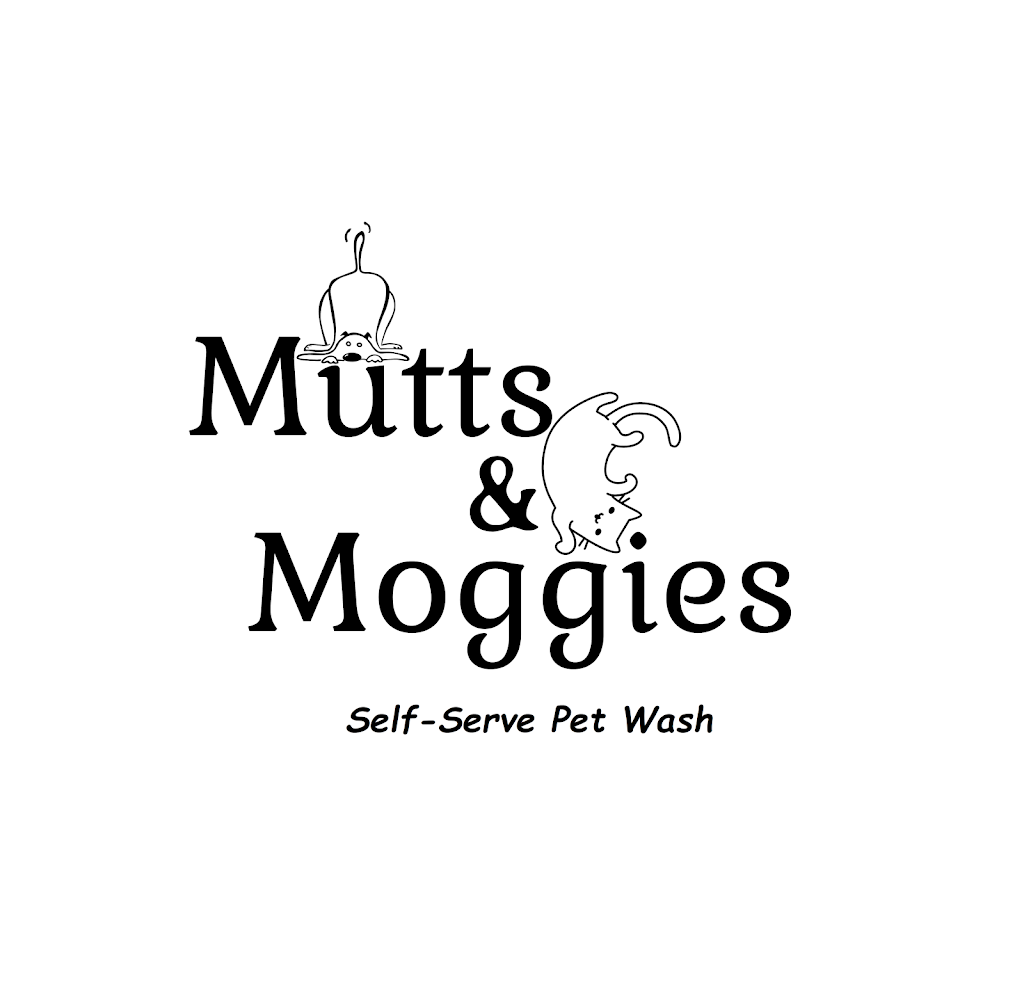 Mutts & Moggies Self-serve Pet Wash | 15505 Marine Dr #103, White Rock, BC V4B 1C9, Canada | Phone: (604) 753-9625