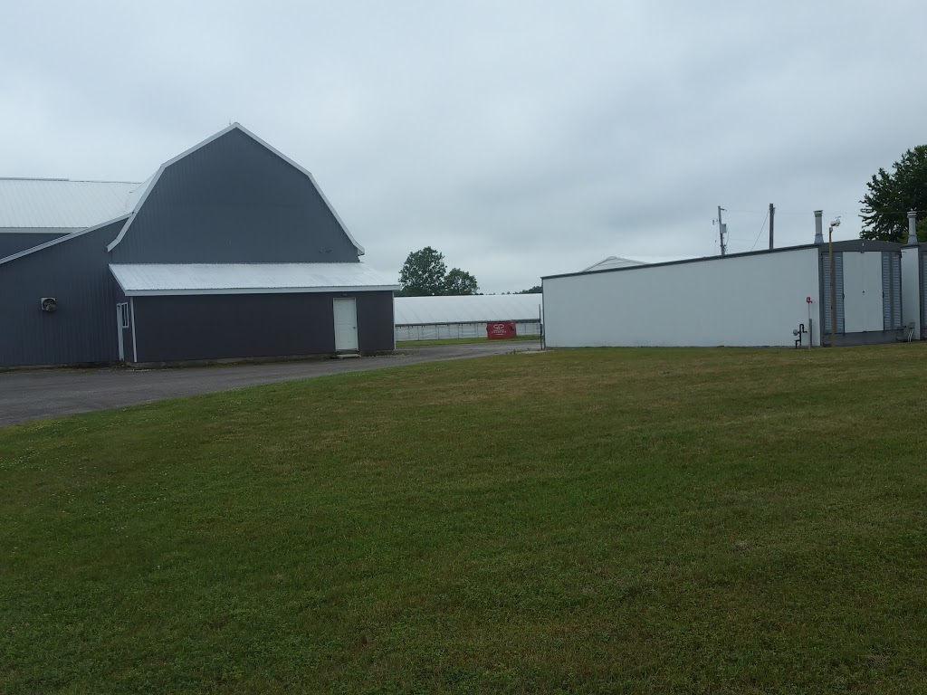 S & I Agricultural Commodities | Norfolk County Hwy 24, St Williams, ON N0E 1P0, Canada | Phone: (519) 420-9286