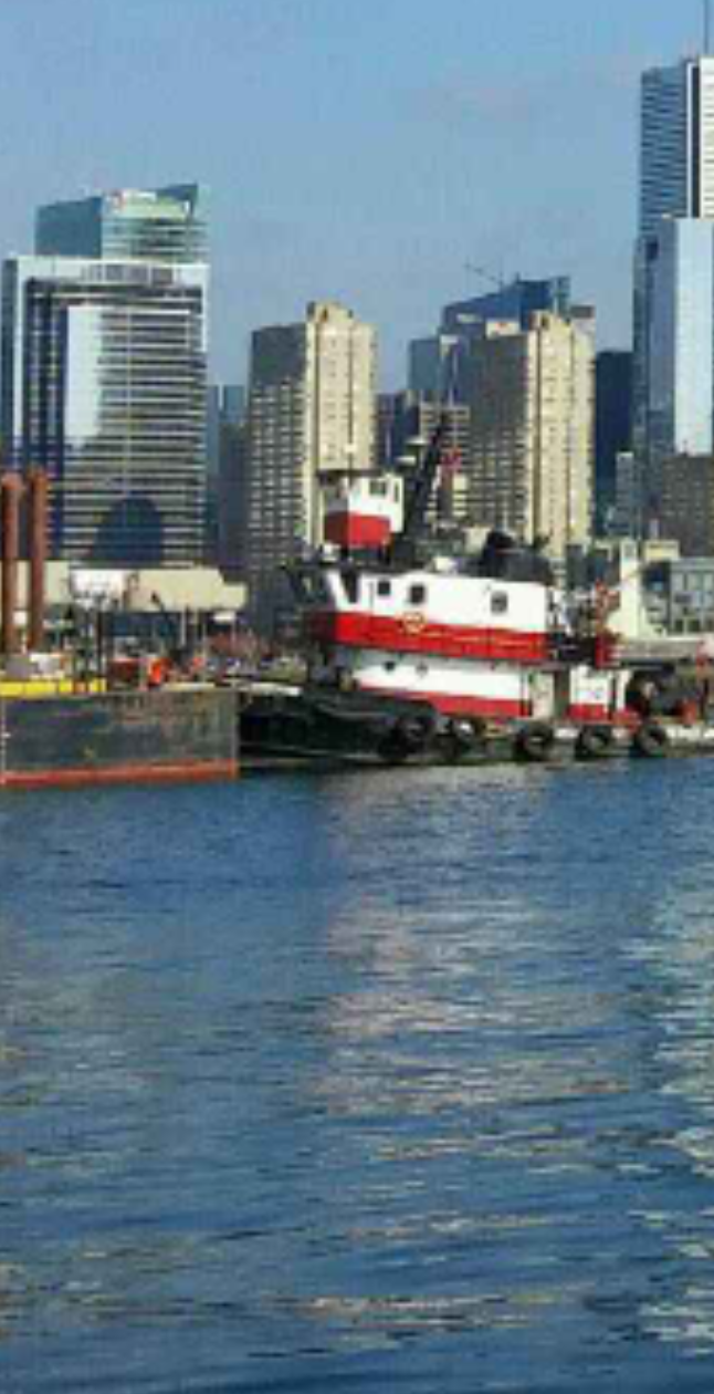 Toronto Harbour Tours | 145 Queens Quay W, Toronto, ON M5J 2H4, Canada | Phone: (416) 203-7786