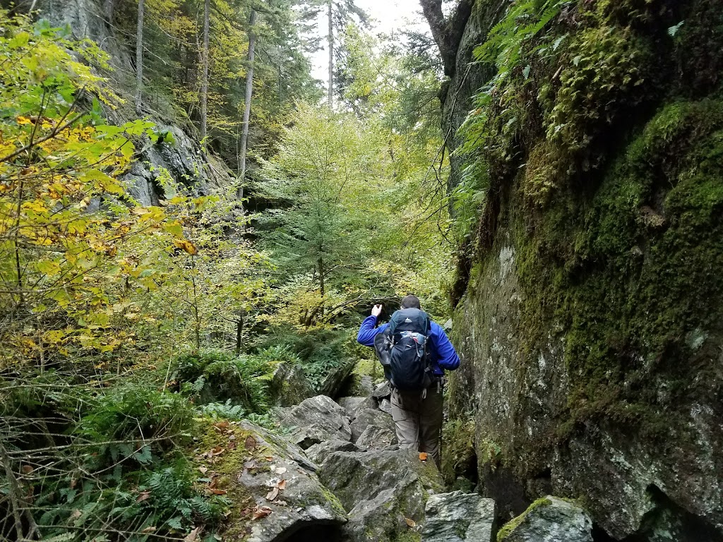 Devils Gulch | Long Trail, Eden, VT 05652, USA