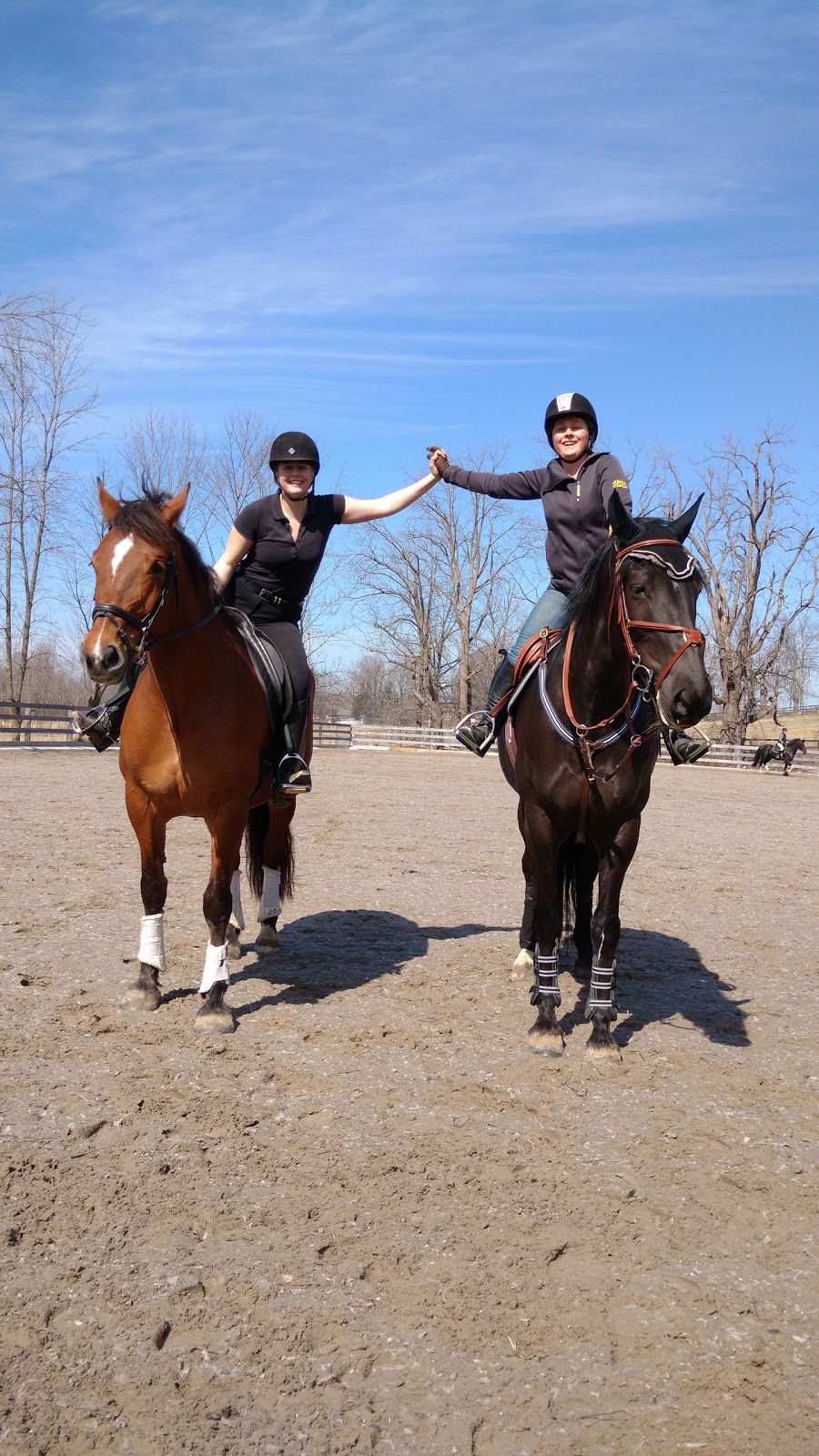 Bronte Creek Equestrian Centre | 1694 Centre Rd, Hamilton, ON L8N 2Z7, Canada | Phone: (905) 379-3855