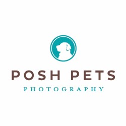 Posh Pets Photography | 2200 Avenue Rd, North York, ON M5M 4B9, Canada | Phone: (416) 568-2547